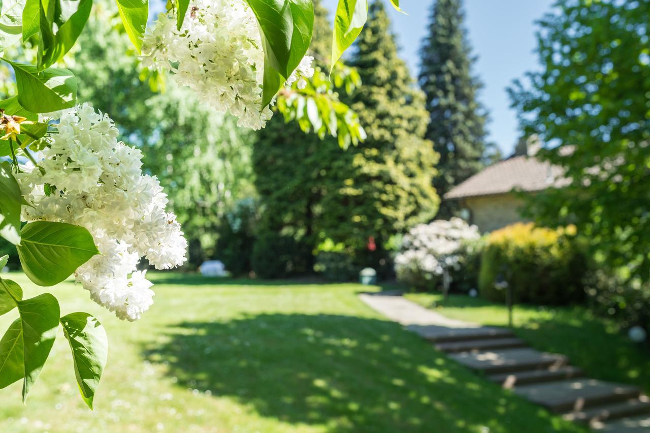 Parkhotel Stadtallendorf Dış mekan fotoğraf